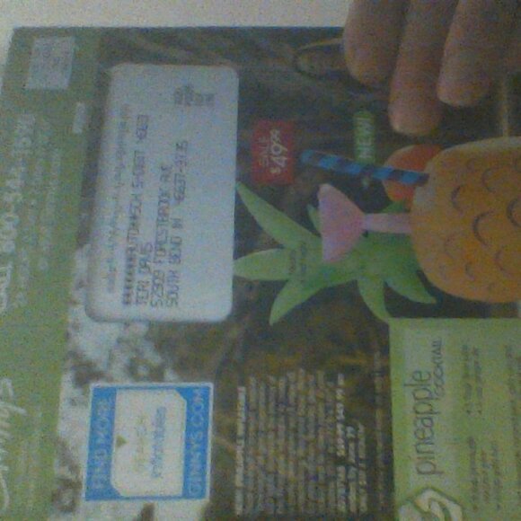 Ginny Magazine Credit Earned 5 Star Rating Fun Outdoors Bug Decor 2021 March'21 - Picture 2 of 4